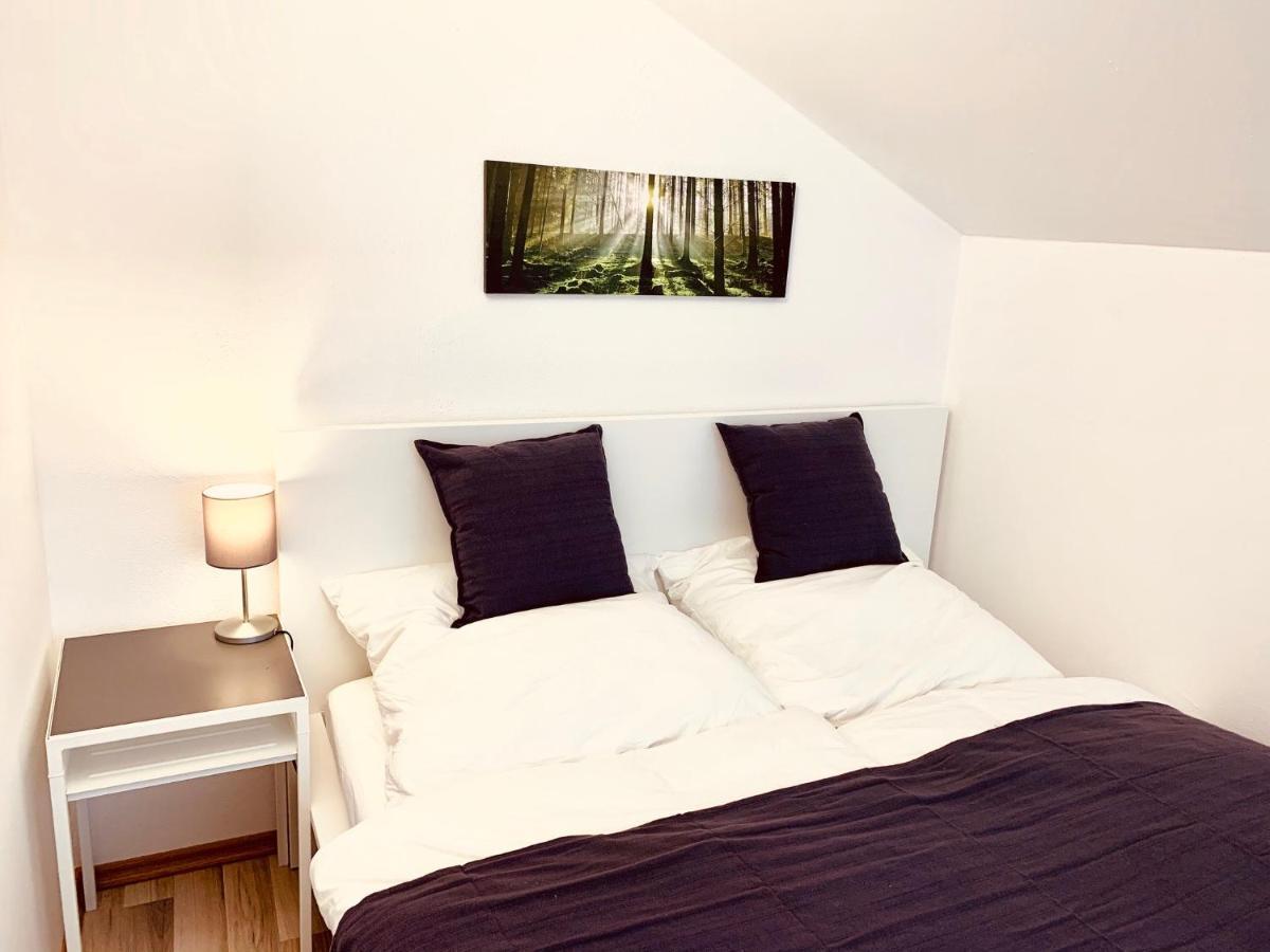 Moderne Ferienwohnung Mit Herrlicher Fernsicht Zwiesel Dış mekan fotoğraf